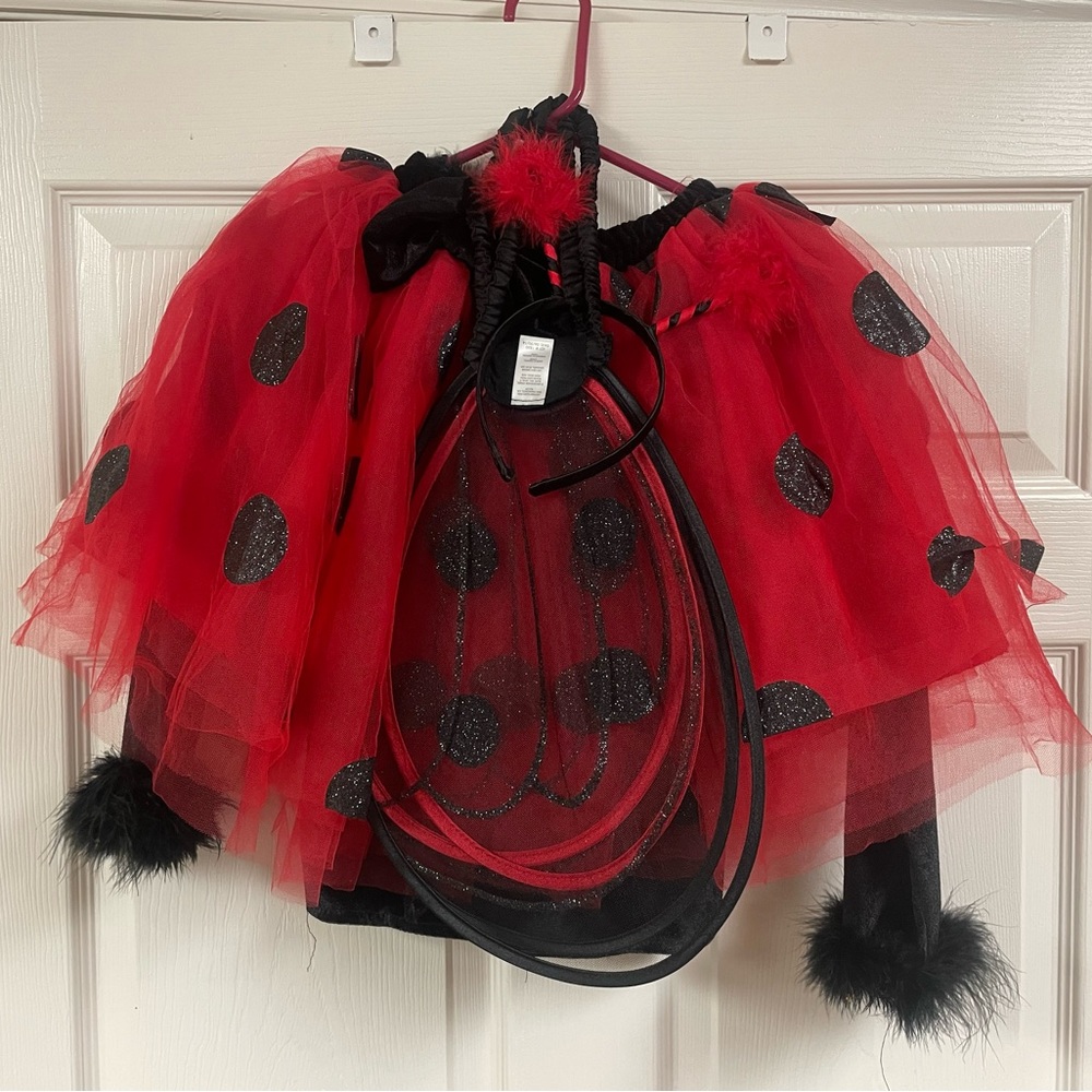 Pottery Barn Kids Ladybug Costume